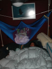 thumbs/030113-Lisa_sNewBed.png