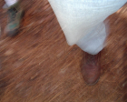 thumbs/imgp2383.png