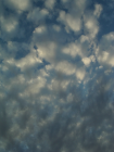 thumbs/Sky1145.png
