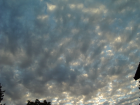 thumbs/Sky1164.png