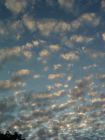 thumbs/Sky1167.png