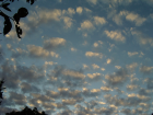 thumbs/Sky1169.png