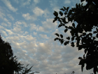 thumbs/Skies.png