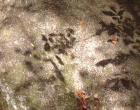 thumbs/imgp2370.png