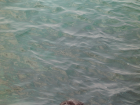 thumbs/sea0131.png