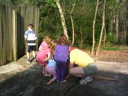 img003.jpeg.small.jpeg