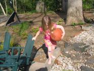 img010.jpeg.small.jpeg