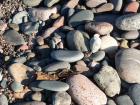 thumbs/p1000785.jpg.jpg