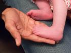 thumbs/p1010705.jpg.jpg
