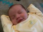 thumbs/p1010665.jpg
