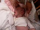 thumbs/p1010738.jpg