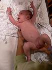 thumbs/p1010740.jpg
