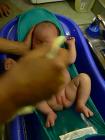 thumbs/p1010741.jpg
