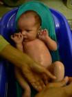 thumbs/p1010745.jpg