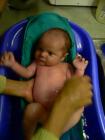 thumbs/p1010747.jpg