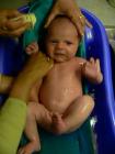 thumbs/p1010748.jpg