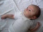 thumbs/p1010771.jpg