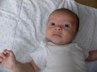 thumbs/p1010778.jpg