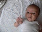 thumbs/p1010779.jpg