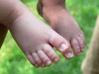 thumbs/p1010789.jpg