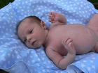 thumbs/p1010727.jpg