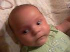 thumbs/p1020015.jpg