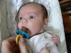 thumbs/p1010823.jpg