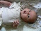 thumbs/p1010825.jpg