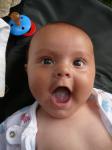 thumbs/s1000439.jpg
