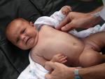 thumbs/s1000462.jpg