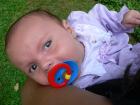 thumbs/p1020110.jpg