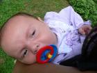 thumbs/p1020111.jpg
