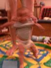 thumbs/p1020394.jpg