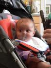 thumbs/p1020551.jpg