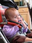 thumbs/p1020559.jpg