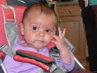 thumbs/p1020562.jpg