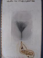 thumbs/1971-img_9294.jpg